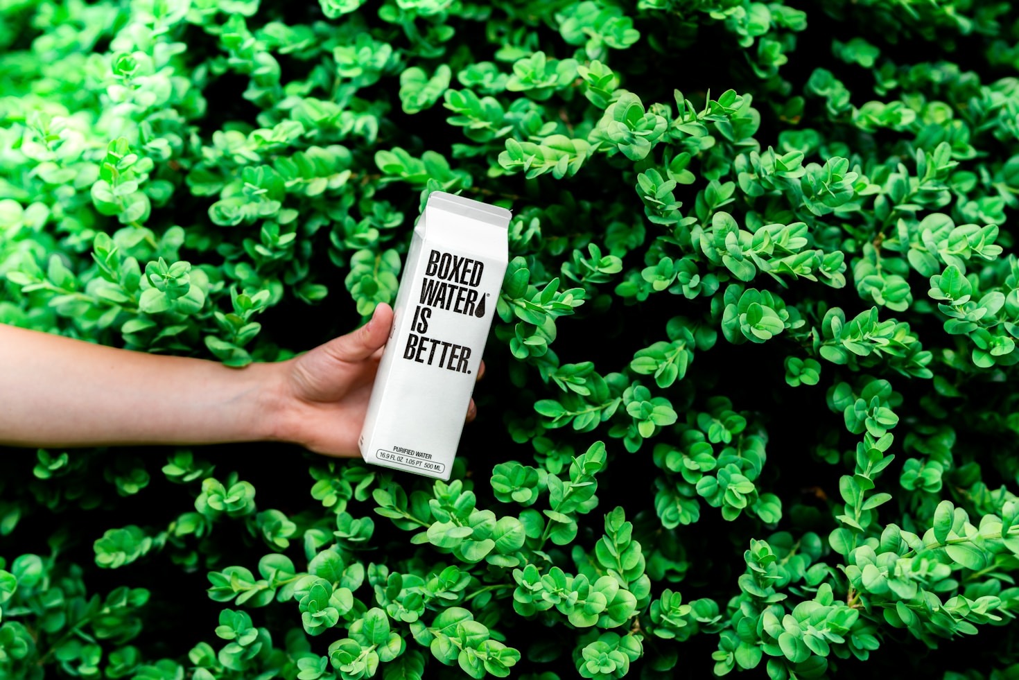 Eco-Friendly Parenting: Raising Healthy, Green Kids